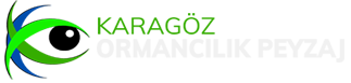 Karagöz Logo
